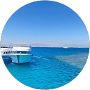 Dijana Tanaskovic profile picture